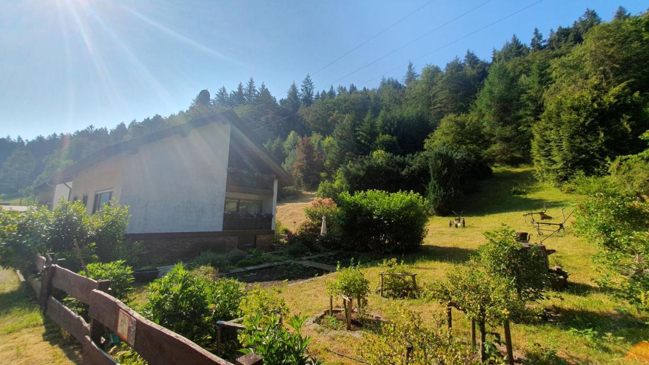 Pension Ernst Im Herzen Des Pfaelzerwaldes Mit Kueche Elmstein Exterior foto