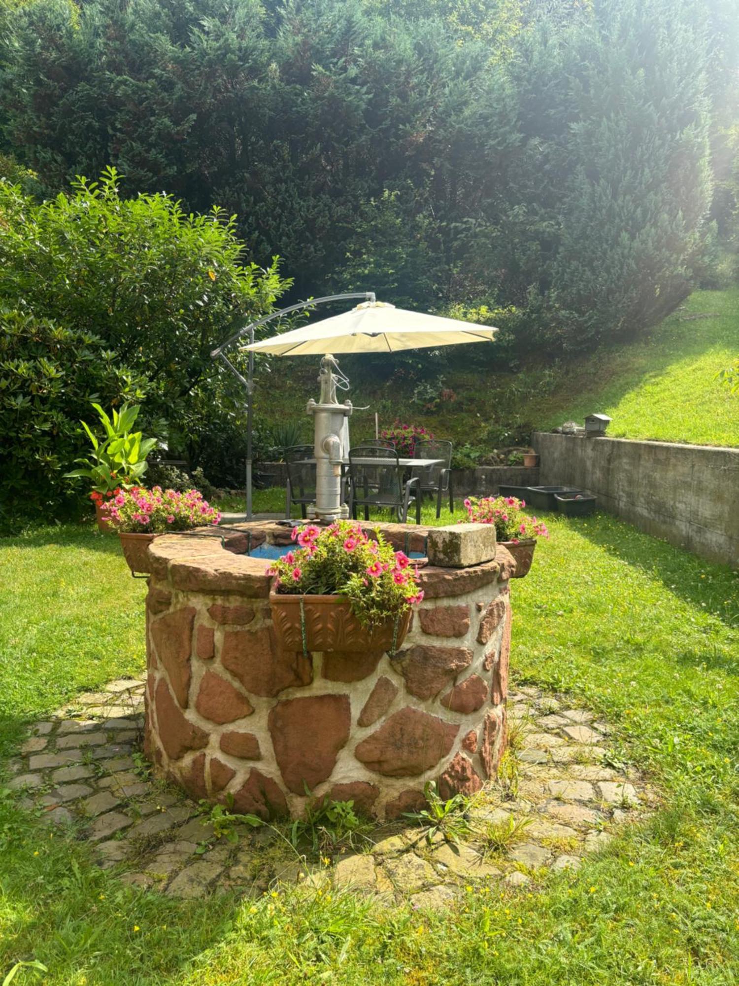 Pension Ernst Im Herzen Des Pfaelzerwaldes Mit Kueche Elmstein Exterior foto